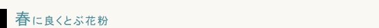 春に良くとぶ花粉