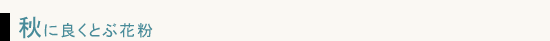 秋に良くとぶ花粉