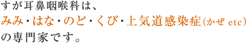 すが耳鼻咽喉科は、
みみ・はな・のど・くび・上気道感染症（かぜ etc）
の専門家です。